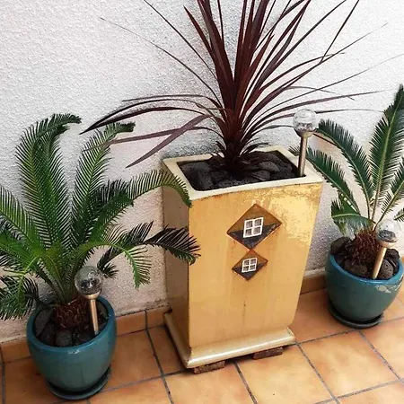 Cap D'agde, 3 Pièces, 6 Personnes - Fr-1-607-1 Appartamento